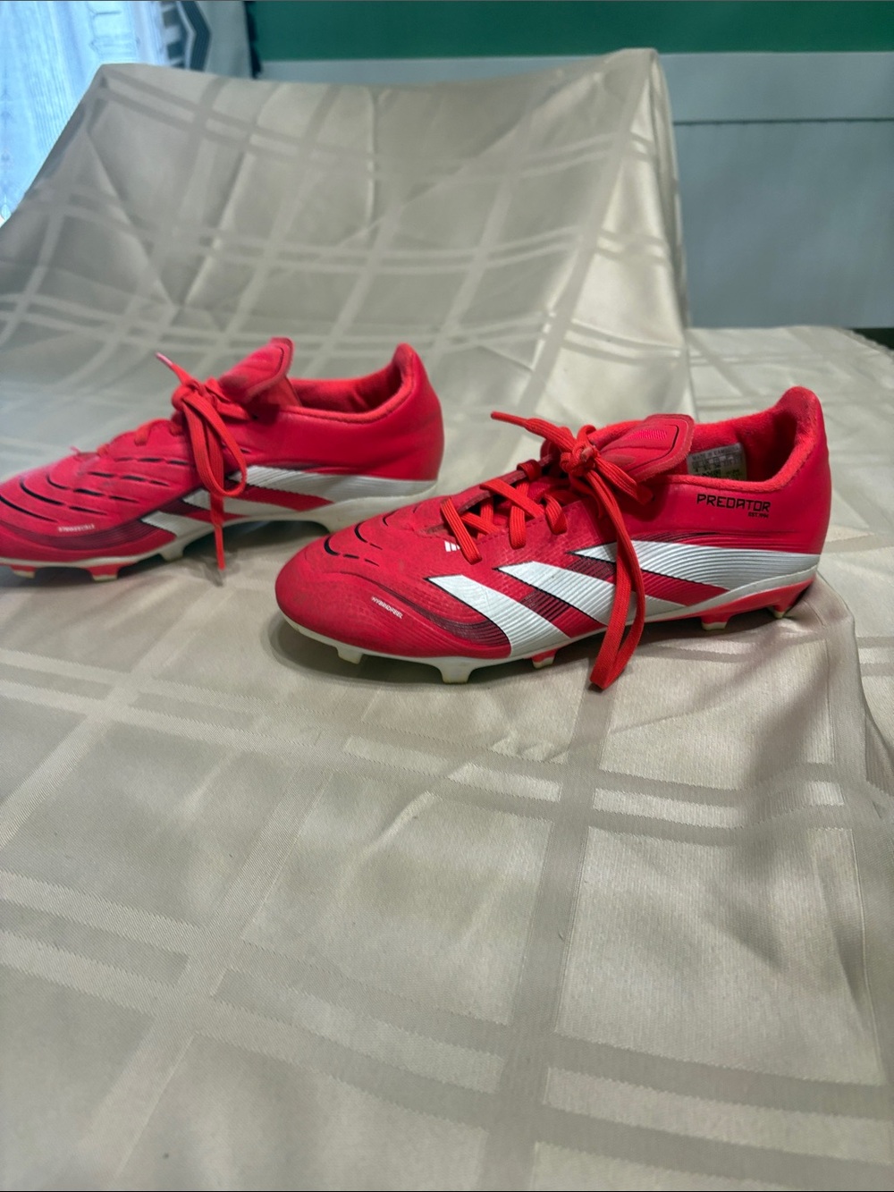 BIg Boy Size 4 Pink and White Predator Soccer Cleats